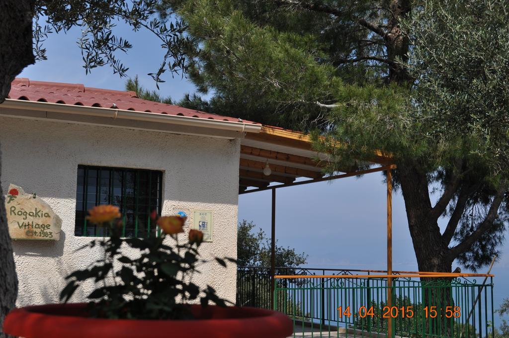 Rogakia Village Est. 1983 Zóla Oda fotoğraf