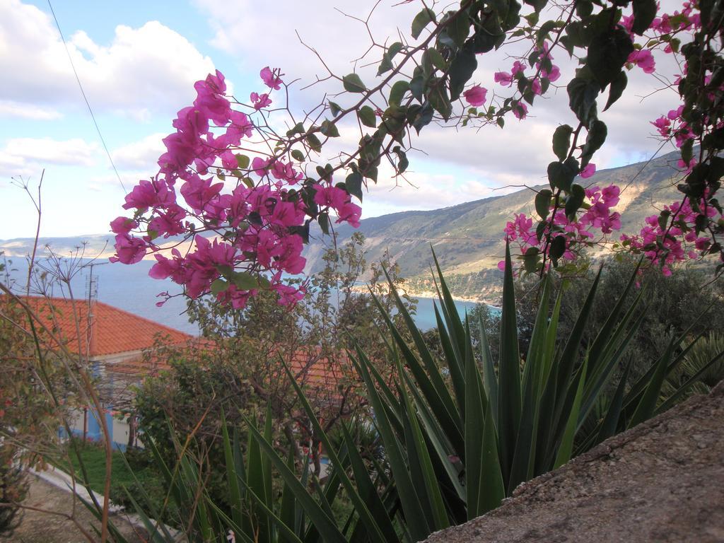 Rogakia Village Est. 1983 Zóla Dış mekan fotoğraf